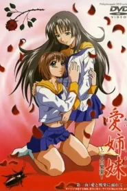 Ai Shimai: Futari no Kajitsu – Todos los Episodios