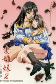 Ai Shimai: Futari no Kajitsu 2 – Todos los Episodios