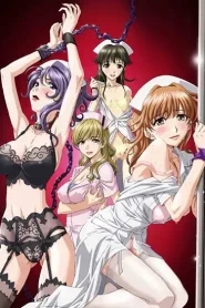 Anata no Shiranai Kangofu: Seiteki Byoutou 24 Ji