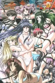 Shusaku 2 – Todos los Episodios